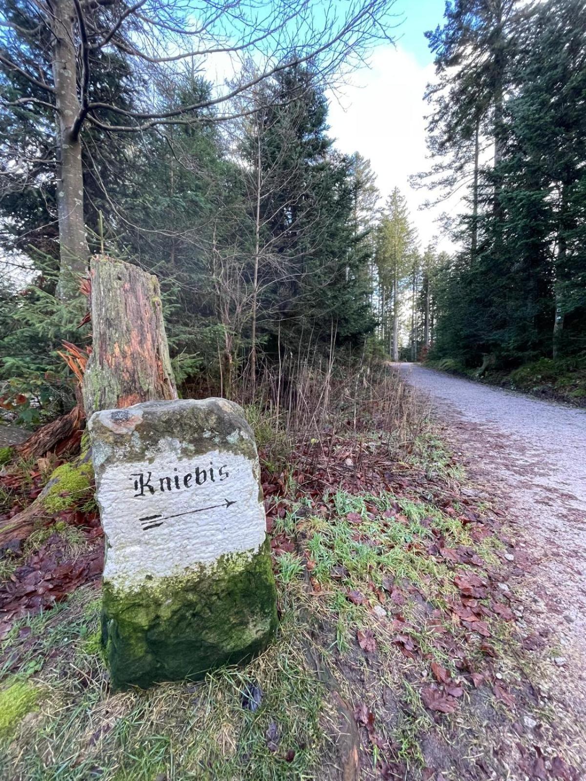Ferienwohnung In Freudenstadt-Kniebis III Luaran gambar
